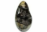 Polished Dragon Egg Septarian Geode - Free-Standing #339341-2